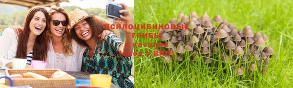 синтетический гашиш Арсеньев